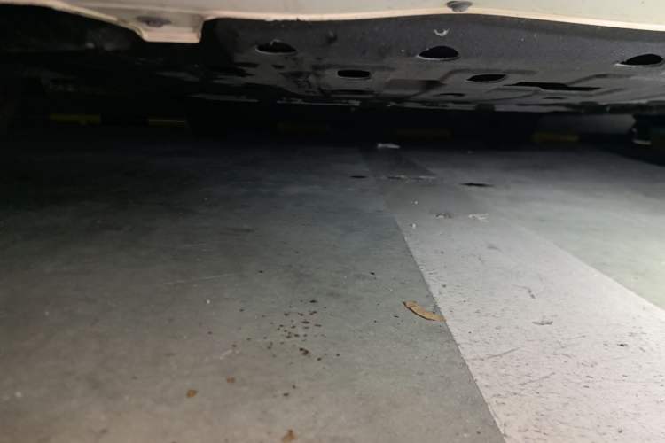 Used CHANGAN NEVO Lumin 2023 205km Xiangqin Version Chassis Front