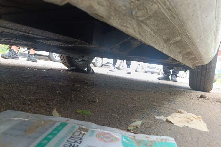 Used CHANGAN NEVO Lumin 2023 205km Xiangqin Version Chassis Front Left