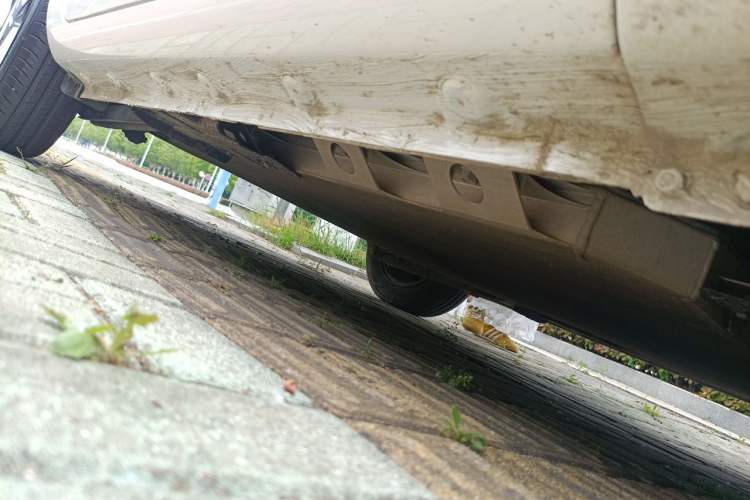 Used CHANGAN NEVO Lumin 2023 301km Honey Dew Edition Chassis Front Right