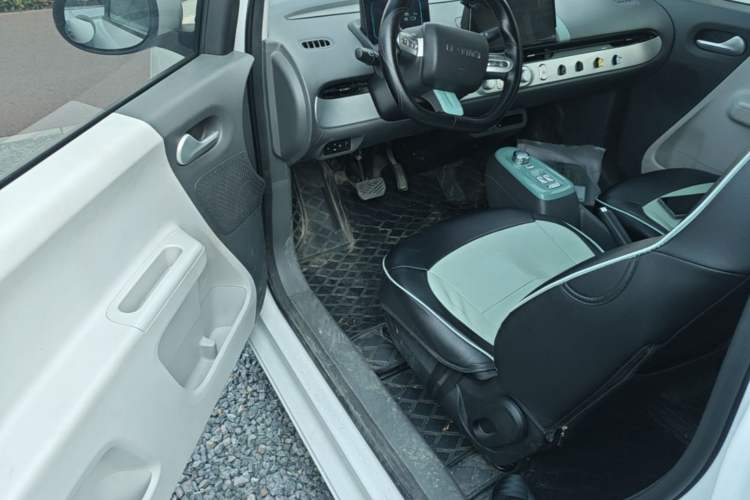 Used CHANGAN NEVO Lumin 2023 205km Xiangqin Version Driver Seat