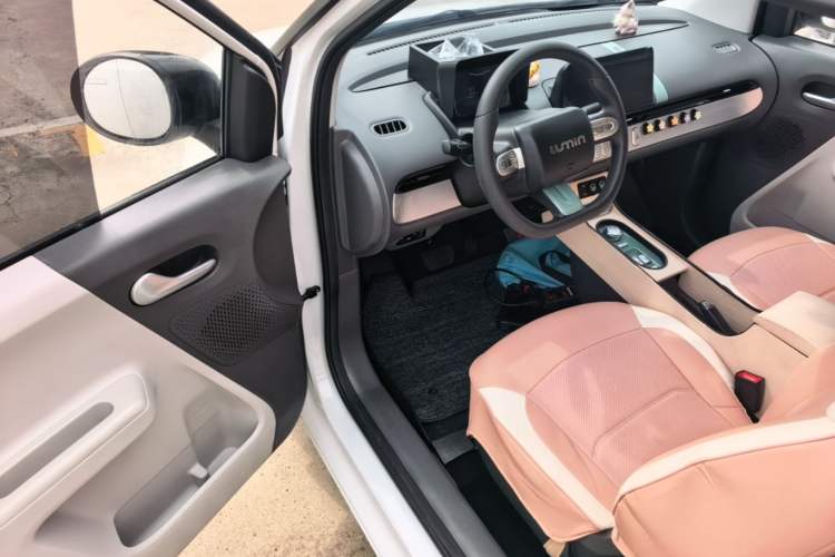 Used CHANGAN NEVO Lumin 2023 205km Xiangqin Version Driver Seat