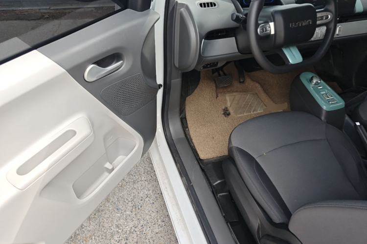Used CHANGAN NEVO Lumin 2023 205km Xiangqin Version Driver Seat