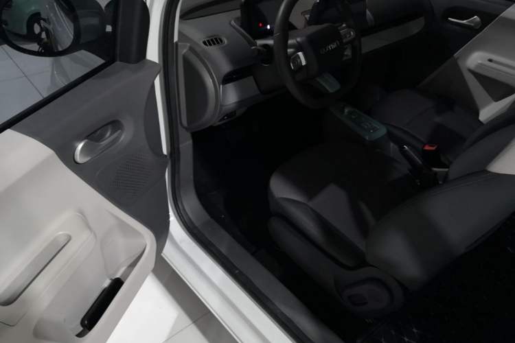 Used CHANGAN NEVO Lumin 2023 205km Xiangqin Version Driver Seat