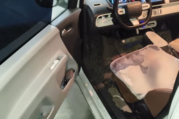 Used CHANGAN NEVO Lumin 2023 205km Xiangqin Version Driver Seat