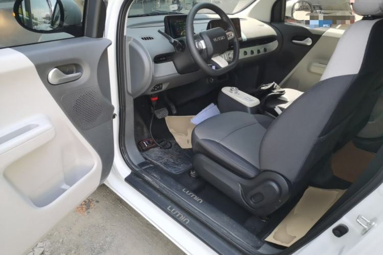 Used CHANGAN NEVO Lumin 2023 205km Xiangqin Version Driver Seat