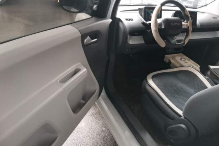 Used CHANGAN NEVO Lumin 2023 205km Xiangqin Version Driver Seat