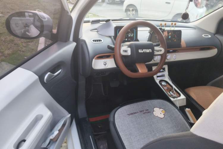 Used CHANGAN NEVO Lumin 2023 205km Xiangqin Version Driver Seat