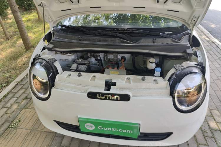Used CHANGAN NEVO Lumin 2023 205km Xiangqin Version Engine Bay