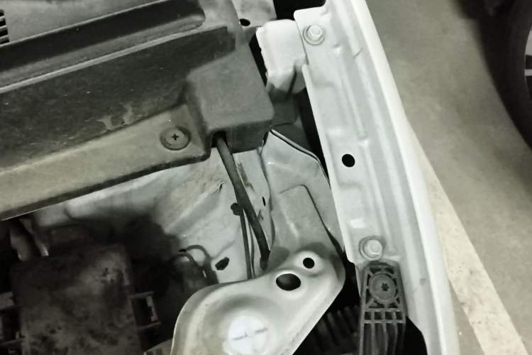 Used CHANGAN NEVO Lumin 2023 205km Xiangqin Version Engine Bay Left