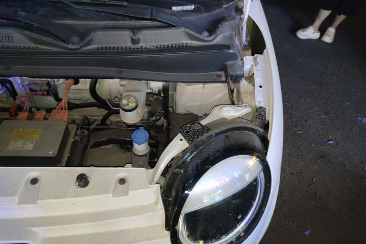 Used CHANGAN NEVO Lumin 2023 205km Xiangqin Version Engine Bay Left