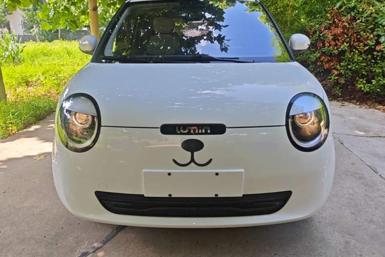 Used CHANGAN NEVO Lumin 2023 205km Xiangqin Version Front