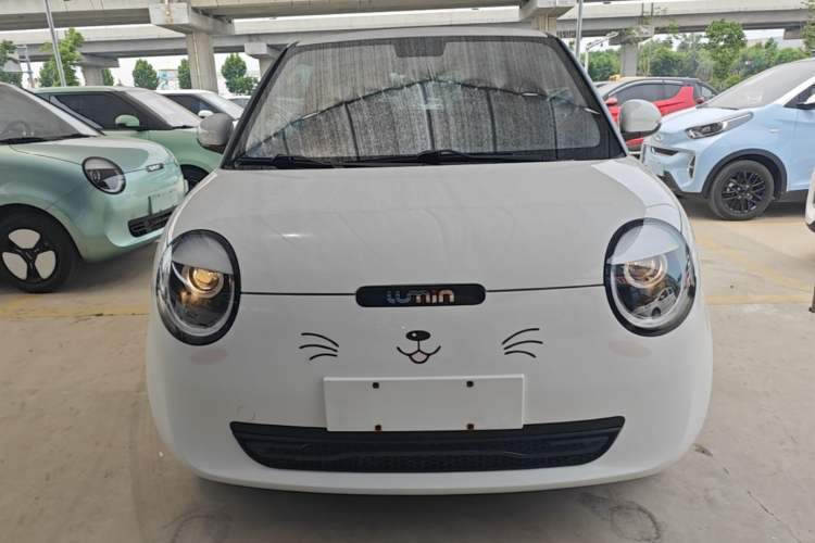 Used CHANGAN NEVO Lumin 2023 205km Xiangqin Version Front