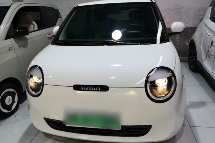 Used CHANGAN NEVO Lumin 2023 205km Xiangqin Version Front