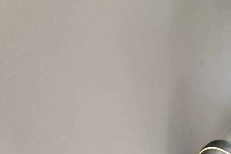Used CHANGAN NEVO Lumin 2023 205km Xiangqin Version Headliner