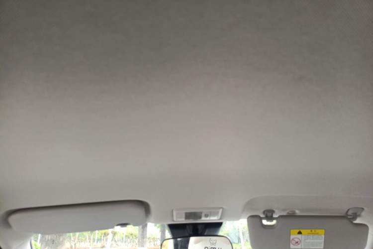 Used CHANGAN NEVO Lumin 2023 301km Honey Dew Edition Headliner