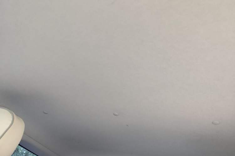 Used CHANGAN NEVO Lumin 2023 301km Honey Dew Edition Headliner