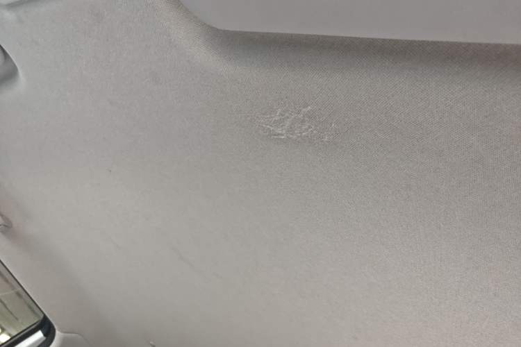 Used CHANGAN NEVO Lumin 2023 205km Xiangqin Version Headliner