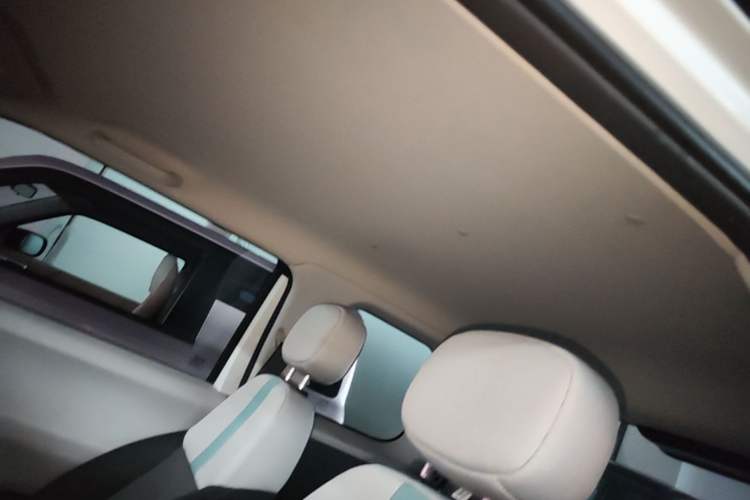 Used CHANGAN NEVO Lumin 2023 301km Honey Dew Edition Headliner