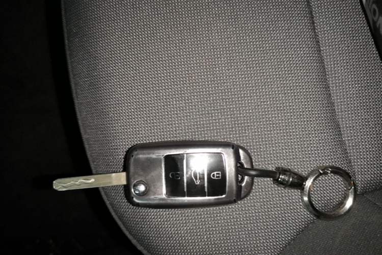 Used CHANGAN NEVO Lumin 2023 301km Honey Dew Edition Interior 1