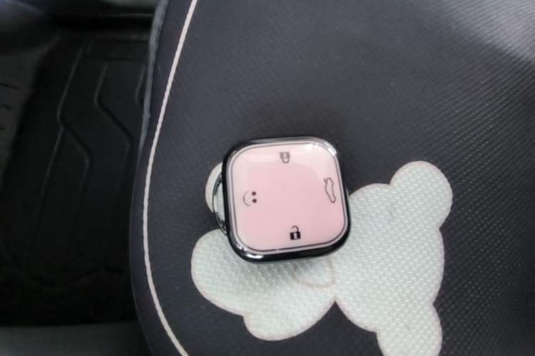 Used CHANGAN NEVO Lumin 2023 205km Xiangqin Version Interior 1