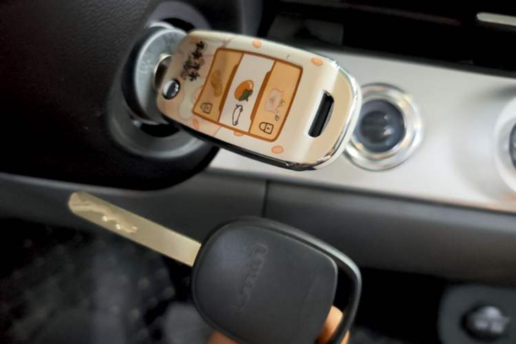 Used CHANGAN NEVO Lumin 2023 205km Xiangqin Version Interior 1