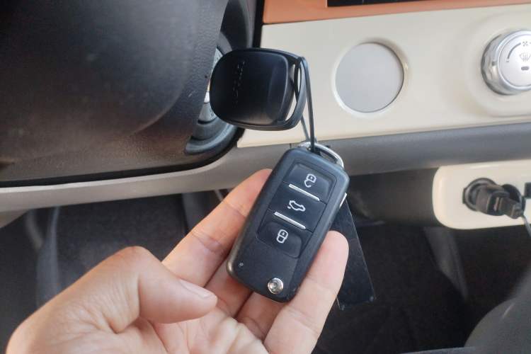 Used CHANGAN NEVO Lumin 2023 301km Honey Dew Edition Interior 1