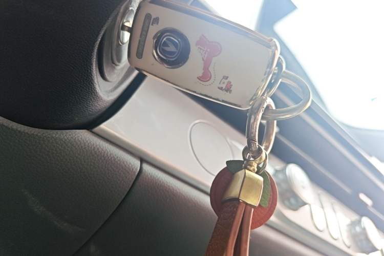 Used CHANGAN NEVO Lumin 2023 205km Xiangqin Version Interior 1
