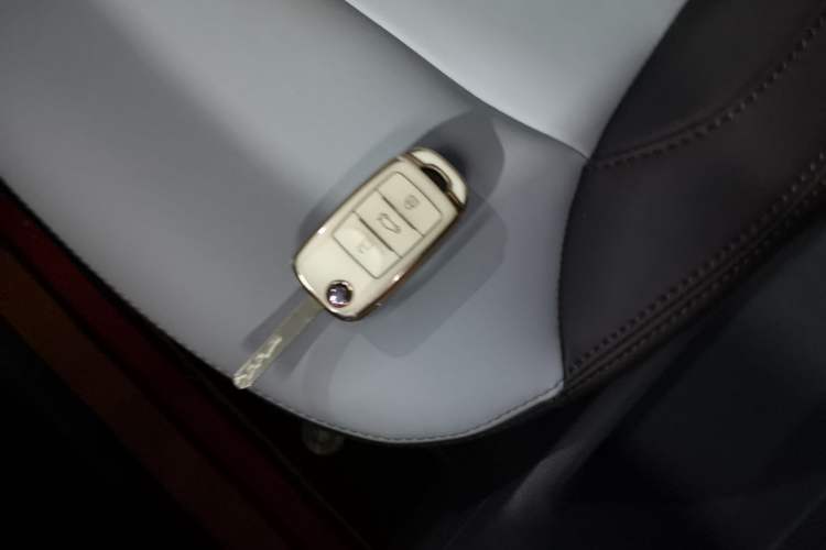 Used CHANGAN NEVO Lumin 2023 205km Xiangqin Version Interior 1