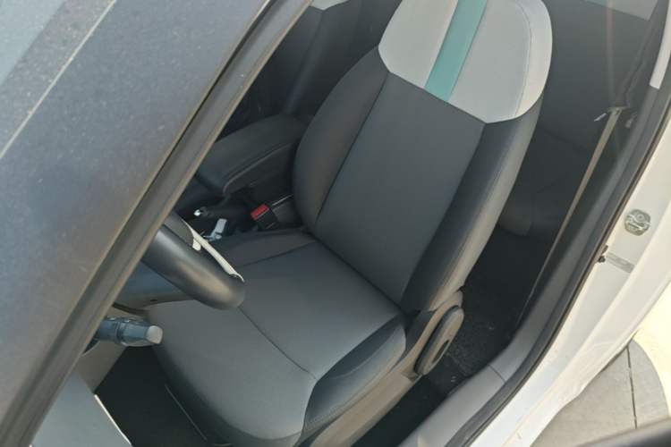 Used CHANGAN NEVO Lumin 2023 205km Xiangqin Version Left Front Seat