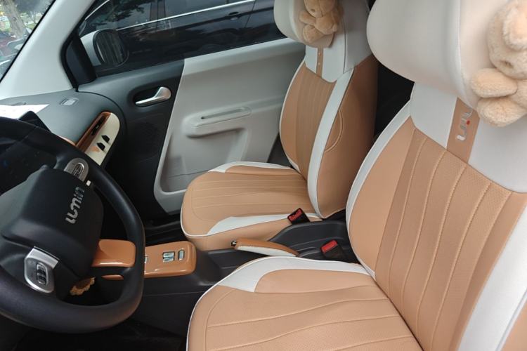 Used CHANGAN NEVO Lumin 2023 205km Xiangqin Version Left Front Seat
