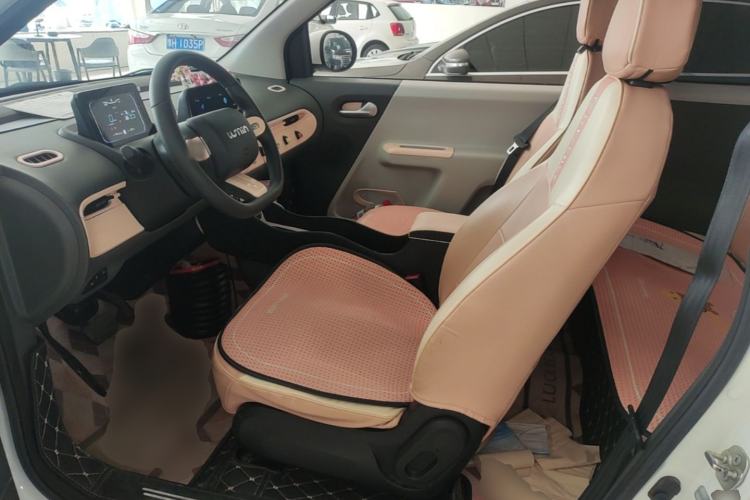 Used CHANGAN NEVO Lumin 2023 205km Xiangqin Version Left Front Seat