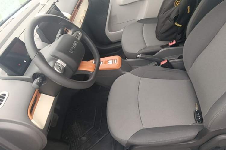 Used CHANGAN NEVO Lumin 2023 205km Xiangqin Version Left Front Seat