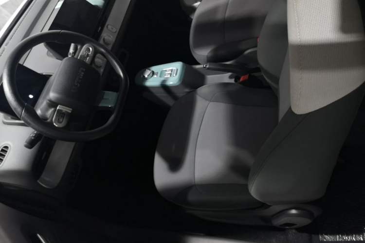 Used CHANGAN NEVO Lumin 2023 205km Xiangqin Version Left Front Seat