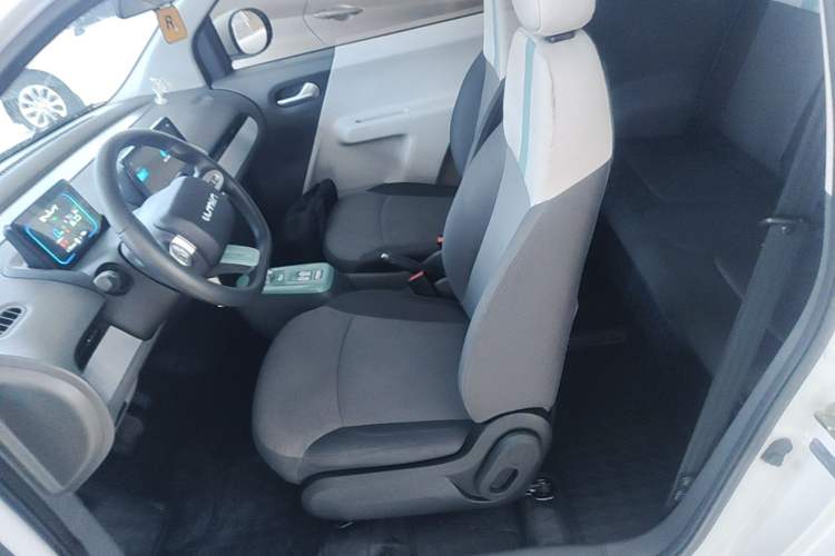 Used CHANGAN NEVO Lumin 2023 205km Xiangqin Version Left Front Seat