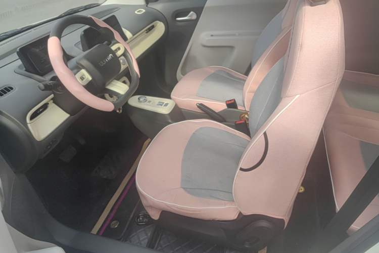 Used CHANGAN NEVO Lumin 2023 205km Xiangqin Version Left Front Seat