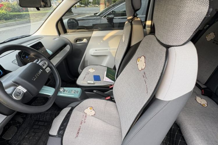 Used CHANGAN NEVO Lumin 2023 205km Xiangqin Version Left Front Seat