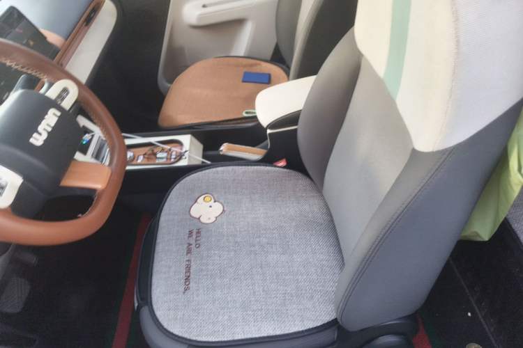 Used CHANGAN NEVO Lumin 2023 205km Xiangqin Version Left Front Seat