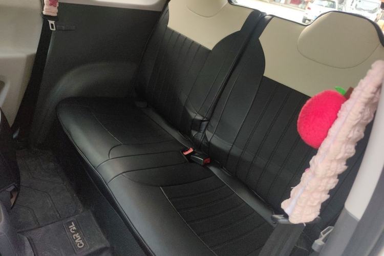 Used CHANGAN NEVO Lumin 2023 205km Xiangqin Version Left Rear Seat