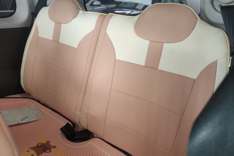 Used CHANGAN NEVO Lumin 2023 205km Xiangqin Version Left Rear Seat