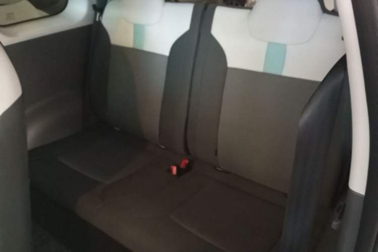 Used CHANGAN NEVO Lumin 2023 205km Xiangqin Version Left Rear Seat
