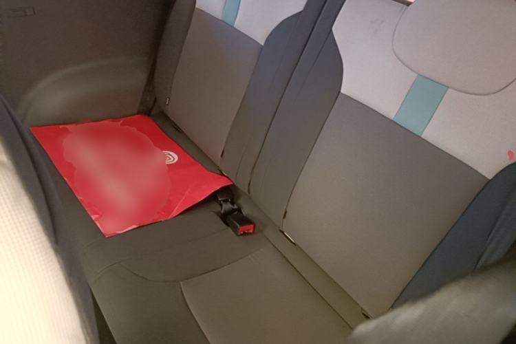 Used CHANGAN NEVO Lumin 2023 301km Honey Dew Edition Left Rear Seat
