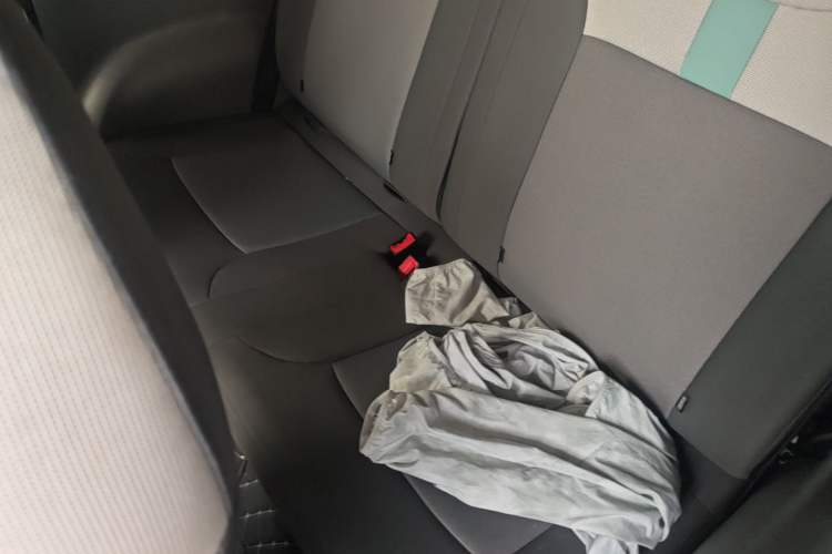 Used CHANGAN NEVO Lumin 2023 205km Xiangqin Version Left Rear Seat