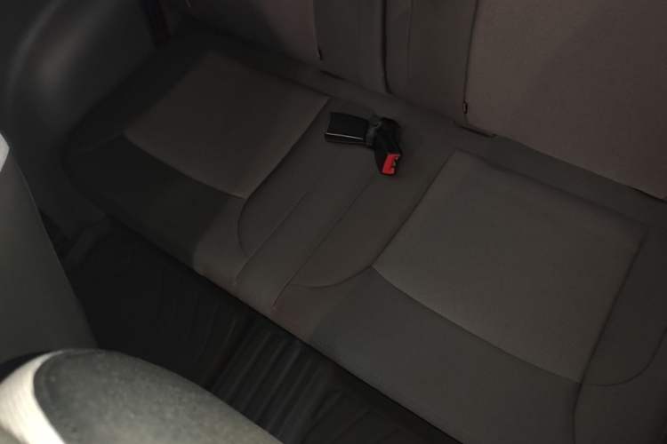 Used CHANGAN NEVO Lumin 2023 205km Xiangqin Version Left Rear Seat