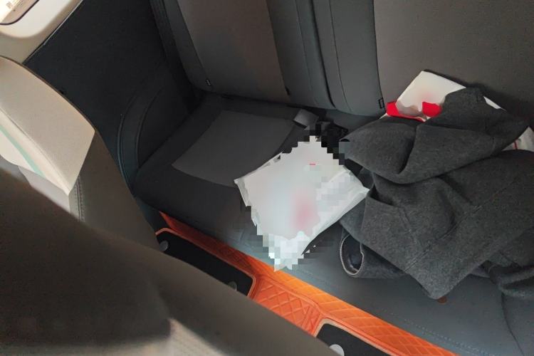 Used CHANGAN NEVO Lumin 2023 205km Xiangqin Version Left Rear Seat