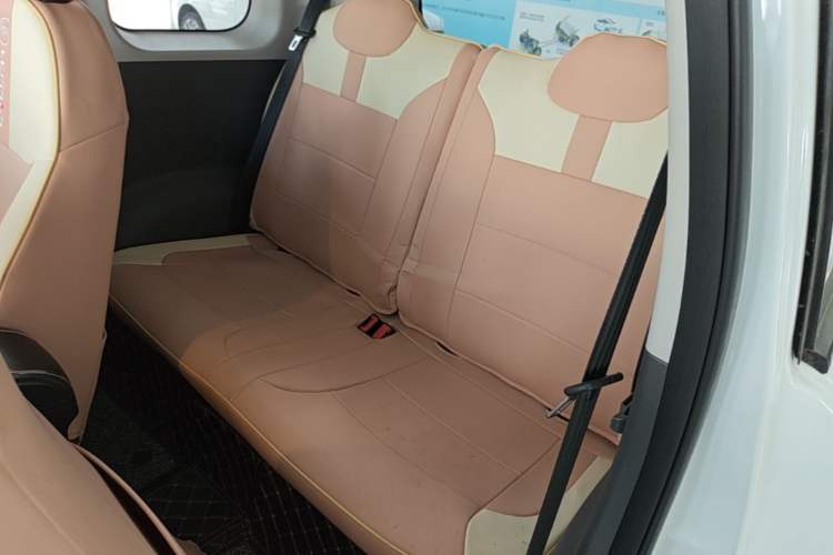 Used CHANGAN NEVO Lumin 2023 205km Xiangqin Version Left Rear Seat