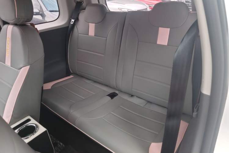 Used CHANGAN NEVO Lumin 2023 205km Xiangqin Version Left Rear Seat