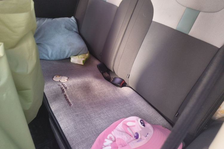 Used CHANGAN NEVO Lumin 2023 205km Xiangqin Version Left Rear Seat