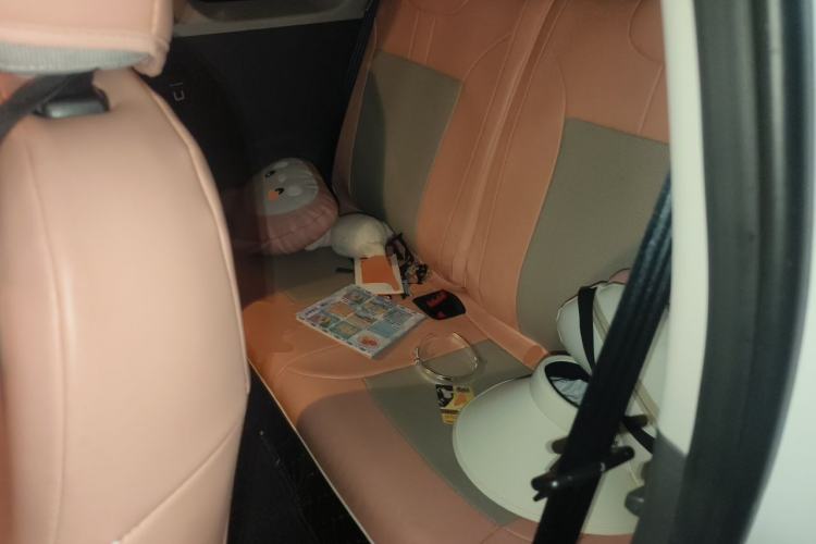Used CHANGAN NEVO Lumin 2023 205km Xiangqin Version Left Rear Seat
