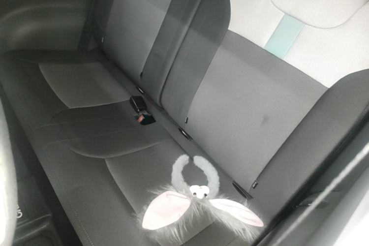 Used CHANGAN NEVO Lumin 2023 205km Xiangqin Version Left Rear Seat