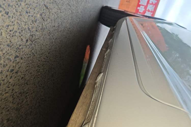 Used CHANGAN NEVO Lumin 2023 205km Xiangqin Version Left Side Sill